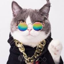 Aplikasi juga dapat digunakan untuk membuat hadiah yang dibuat personal seperti kaus, tas besar, atau topi untuk teman atau kesayangan anda. Bahan Utama Untuk Membuat Karya Aplikasi Adalah Brainly Co Id