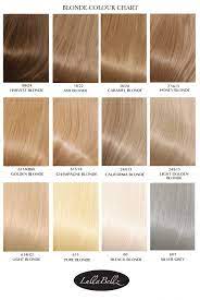 The ultimate blonde hair color chart. Flicky Grip On 18 Ponytail Hair Extensions Lullabellz Honey Blonde Blonde Hair Shades Honey Blonde Hair Color Honey Blonde Hair