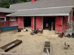 The park and the wildcat canyon regional park are adjacent. Tilden Regional Park 2501 Grizzly Peak Boulevard Orinda Ca 94563 Usa