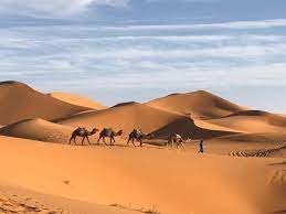 We would like to show you a description here but the site won't allow us. Great Review Of Vacanze Nel Deserto Merzouga Morocco Tripadvisor