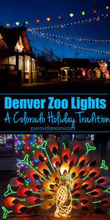 Denver Zoo Lights With Young Children Zoo Lights Denver Zoo Colorado Christmas