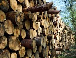 3 just for comparison, a slow growing timber tree in that climate would be larch, a deciduous 'one bushel of wheat will yield approximately 42 pounds of white flour. Plant Life Wood And Timber