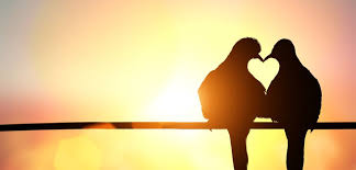 Was it something she did? Three Things You Can Do To Be Happier In Your Romantic Relationship By Marie Murphy Ph D Medium