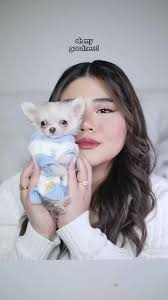 Cómo Hacer Ropa Para Chihuahua