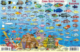 bahamas fish card frankos fabulous maps of favorite