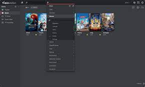 Video Station Synology Inc