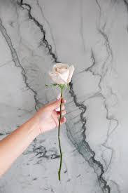 Grocery store flowers vs florist. Diy Grocery Store Floral Arrangements With Sister Blooms Laptrinhx News