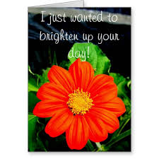 Check spelling or type a new query. Quotes On Flowers To Brighten Day Quotesgram
