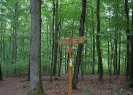 The trail is primarily used for hiking, walking, and running. Wanderwege Rund Um Rursee Gps Wanderatlas