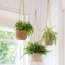 If you're lucky enough to have a large window in your home, we suggest decorating in a way that will accentuate a large window by hanging vining plants from the ceiling or curtain rod. Hanging Seasgrass Plant Pots