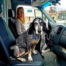 We did not find results for: Dave S Ultimate Automotive 35 Photos 243 Reviews Auto Repair 4926 N Lamar Blvd Austin Tx Phone Number