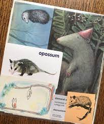 Playing Possum Vintage Opossum Forest Animal Collage Etsy Forest Animals Planner Kit Opossum