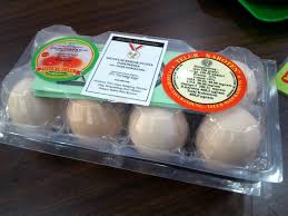 We did not find results for: Telur Ayam Kampung Organik Gtr Saroso