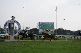 Major Horse Racing Clubs In India The Indian Wire The royal western india turf club in mumbai cancelled this past sunday's scheduled races and have suspended for an undetermined period of time. major horse racing clubs in india the