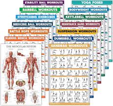 Maybe you would like to learn more about one of these? Exercise Ball Kettlebell Exercise Workout Poster Set Bodyweight Pilates Resistance Bands Barbell Quickfit 10 Pack Yoga Poses Dumbbell Stretching Suspension Sports Fitness Exercise Fitness Mzib De