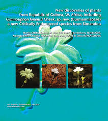 Image result for Monanthotaxis orophila