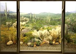 If a window is more than 44 inches from the ground, a ladder or steps at least 12 inches wide must be present. Complete Egress Window Kit Stonewall Well Window Cover Ladder