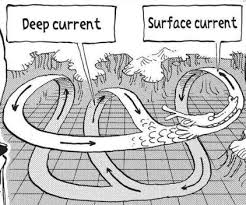 Because the earth is not a very level place, water ends up occupying the valleys and depressions in the landscape as rivers and lakes. Sea Currents One Piece Wiki Fandom