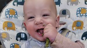 Fundraiser by Natalie Danyal : Buy equipment for Nates medical diet