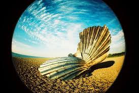 Fisheye