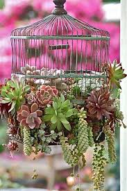 Decorating with birdcages does not necessarily mean that you have to pick up a vintage birdcage from the nearest flea market. Using Bird Cages For Decor 66 Beautiful Ideas Digsdigs