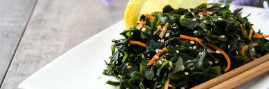 what is wakame and why should i eat it