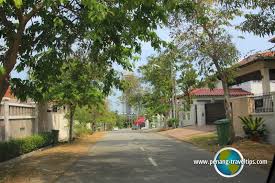 Dengan menanam tanaman melati kaca piring sudah cukup membuat halaman rumah anda menjadi asri dan indah, yang mana bunga khas indonesia ini memiliki kuntum bunga yang beraroma khas. Jalan Bunga Kaca Piring Tanjung Bungah