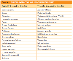 Nasm Overactive And Underactive Muscles Chart Best Picture