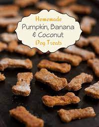 Pumpkin Banana And Coconut Homemade Dog Treats Pet Treats Recipes Dog Treats Homemade Recipes Homemade Pet Treats