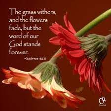 The grass withereth, the flower fadeth which is repeated, to raise attention to it, as being a matter of importance, and for the confirmation of it: Bible Quotes About Flowers Quotesgram