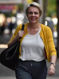 Tanya plibersek talks up labor's crackdown on negative gearing tax dodges for people who own multiple properties. The Business Of Being Tanya Plibersek