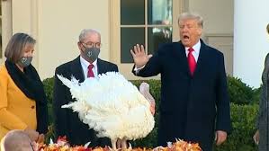 However, on thanksgiving day trump made a surprise visit to afghanistan, his first as. Donald Trump Pardons Thanksgiving Turkey At White House As Joe Biden Announces New Team