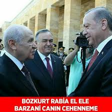 Recep Tayyip Erdogan Ve Devlet Bahceli Rabia Bozkurt Barzani Irak 15temmuz Ingiliz Sozcu Meclis Miletvekili Tbmm Ismetinonu Tarih Baskanlar Fotograf