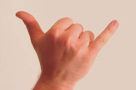We did not find results for: Shaka Sign Wikipedia
