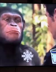 #sacalabolsita #bolsita #lol #lmao