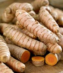 Turmeric is an old indian spice with a powerful medicinal compound called curcumin. Kurkuma Pflanze Curcuma Longa 1a Qualitat Baldur Garten