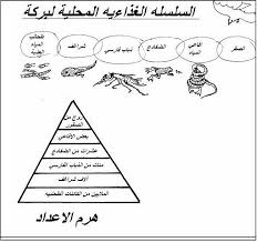 الوحدة رقم ١ النظر في الحياة View As Single Page