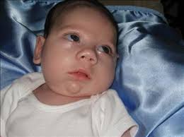 Drew Brust Obituary (2008)