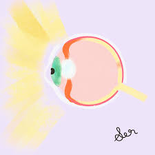 The Eye Illustration Gif Eye Anatomy Eye Illustration Eye Anatomy Medicine Illustration