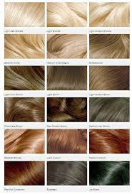 Everything4writer Shortbrunettehairstyles Like What You See Click On The Link To Find Out More Hair Color Shades Hair Color Chart Clairol Hair Color Chart