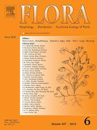 Image result for Crotalaria barnabassii