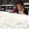 Story image for luxury, pearl necklace from New York Times