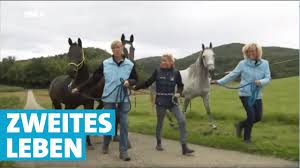 Wir sammeln bis zu 66 anzeigen von hunderten kleinanzeigen portalen für dich! Ex Rennpferde