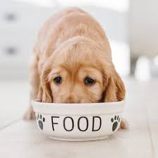 If your dog suffers from food allergies or a sensitive stomach, you'll need to be extra careful about choosing the right dog food. Philippines Dog Food Review And Recommendations Home Facebook