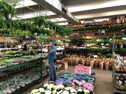 Maybe you would like to learn more about one of these? The Los Angeles Flower District Dtla Metropolitan Molly
