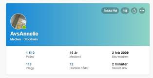 Image result for site:byggahus.se komplettera