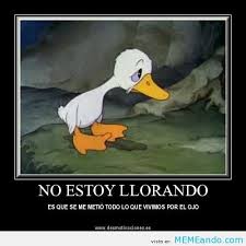 Que Lastima Patito Feo Cuento Patito Feo Feos