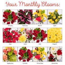 Maybe you would like to learn more about one of these? Bloom Of The Month Club