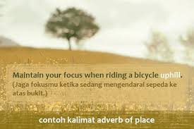 Berikut kami berikan 15 contoh kalimat menggunakan adverb of manner beserta artinya. Adverb Of Place And Direction Pengertian Contoh Kalimat Bahasa Inggris