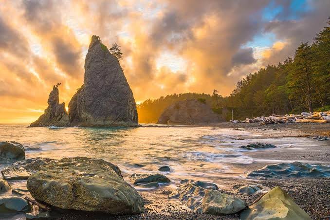 Olympic National Park Itinerary for 1–3 Days: Best Things to See (+Map &  Tips)